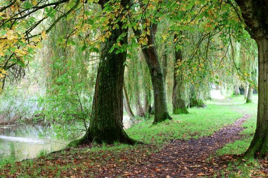 Winnall Moors Nature Reserve